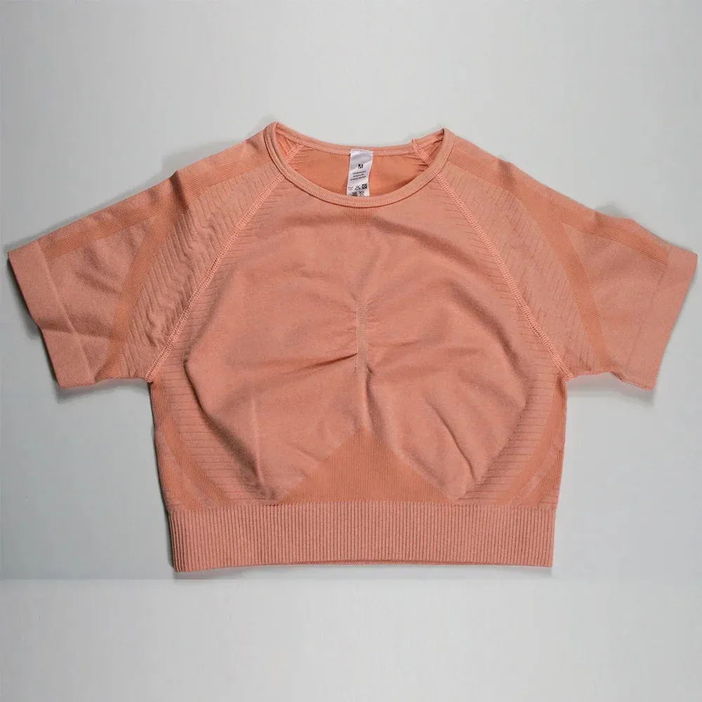 Move Like Diva Women's Seamless Ombre Short Sleeve Crop Top