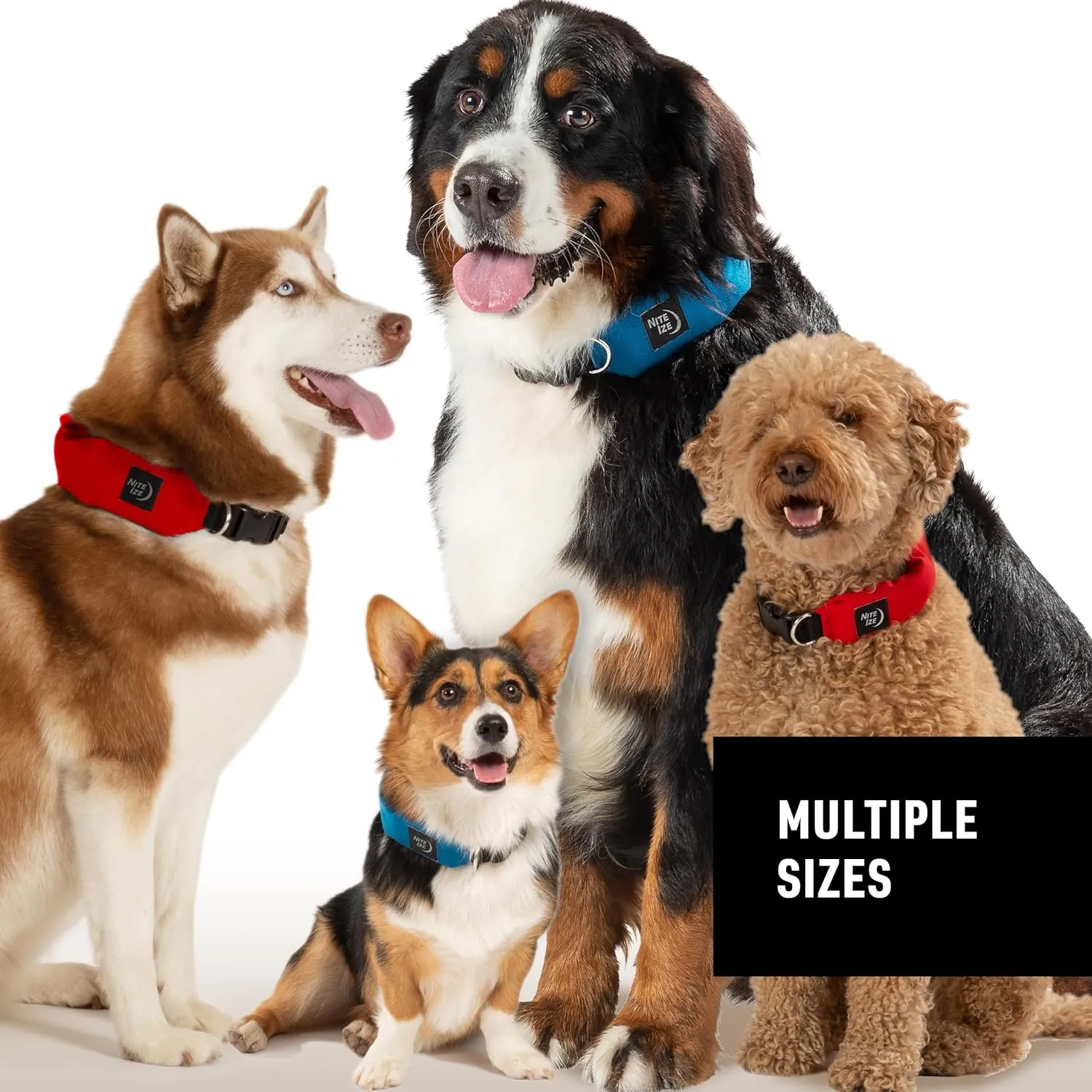 Nite Ize Raddog All-in-One Collar & Leash Combo - Heavy-Duty Dog Collar with Built-in Retractable Leash - 20" to 25" - Blue, X-Large