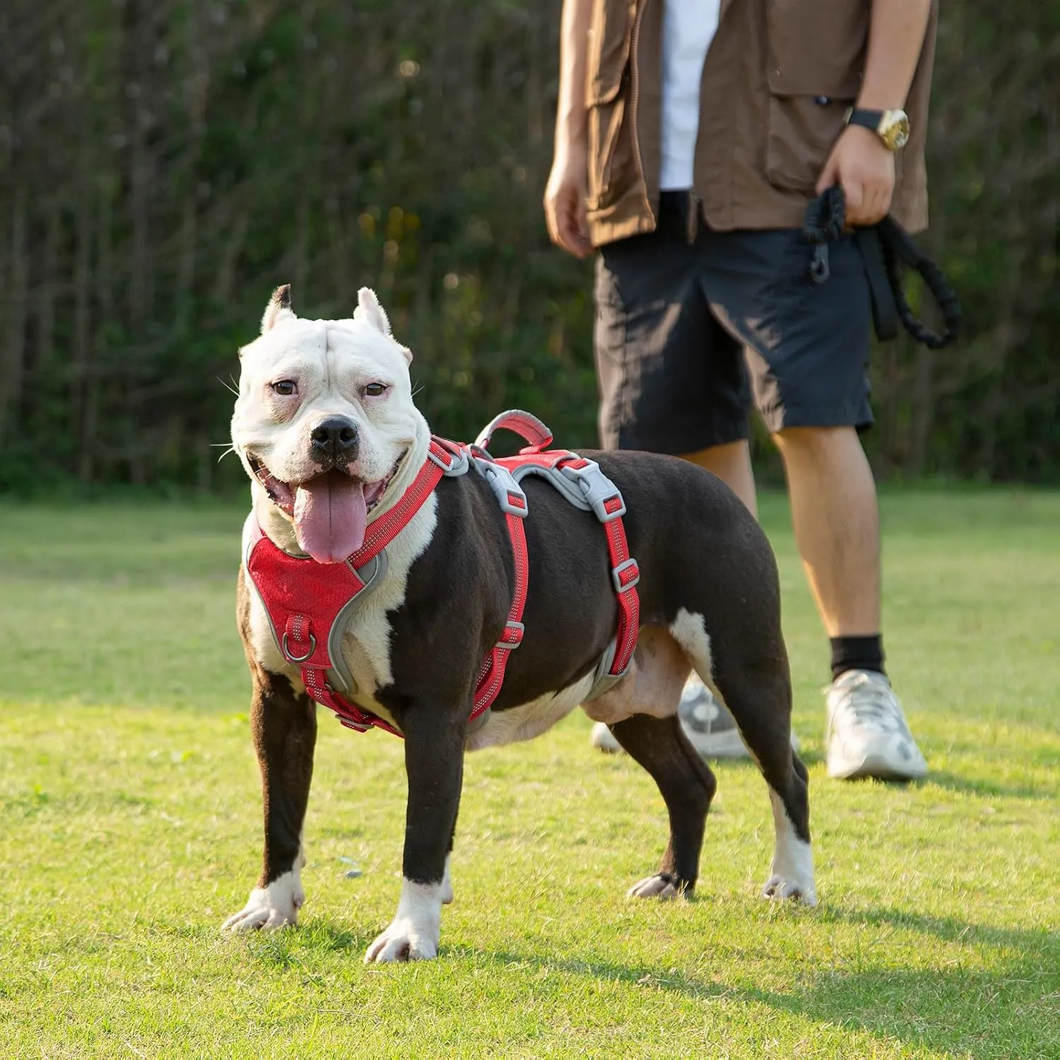 No Escape Dog Harness, Escape Proof Harness, Reflective Harness with Padded Handle, Breathable, Durable, Adjustable Vest for Large Dogs Walking, Training, and Running Gear (Red, L)
