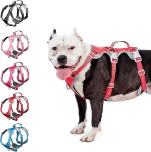 No Escape Dog Harness, Escape Proof Harness, Reflective Harness with Padded Handle, Breathable, Durable, Adjustable Vest for Large Dogs Walking, Training, and Running Gear (Red, L)
