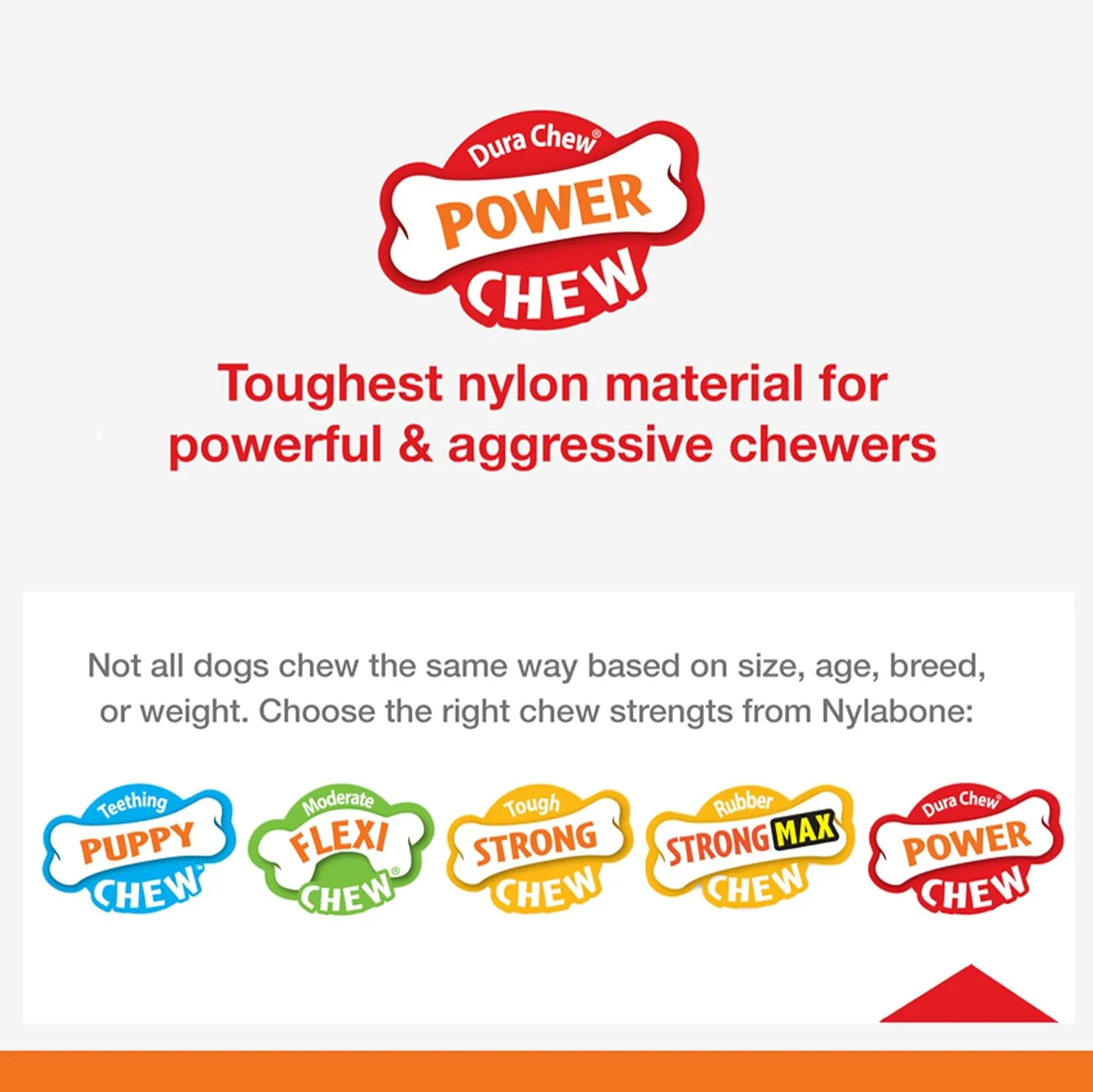 Nylabone Power Chew Barbell Bone Chew Toy for Dogs, Durable Dog Toy, Peanut Butter Flavor, Large - Up to 50 lbs. (1 Count) (Pack of 2)