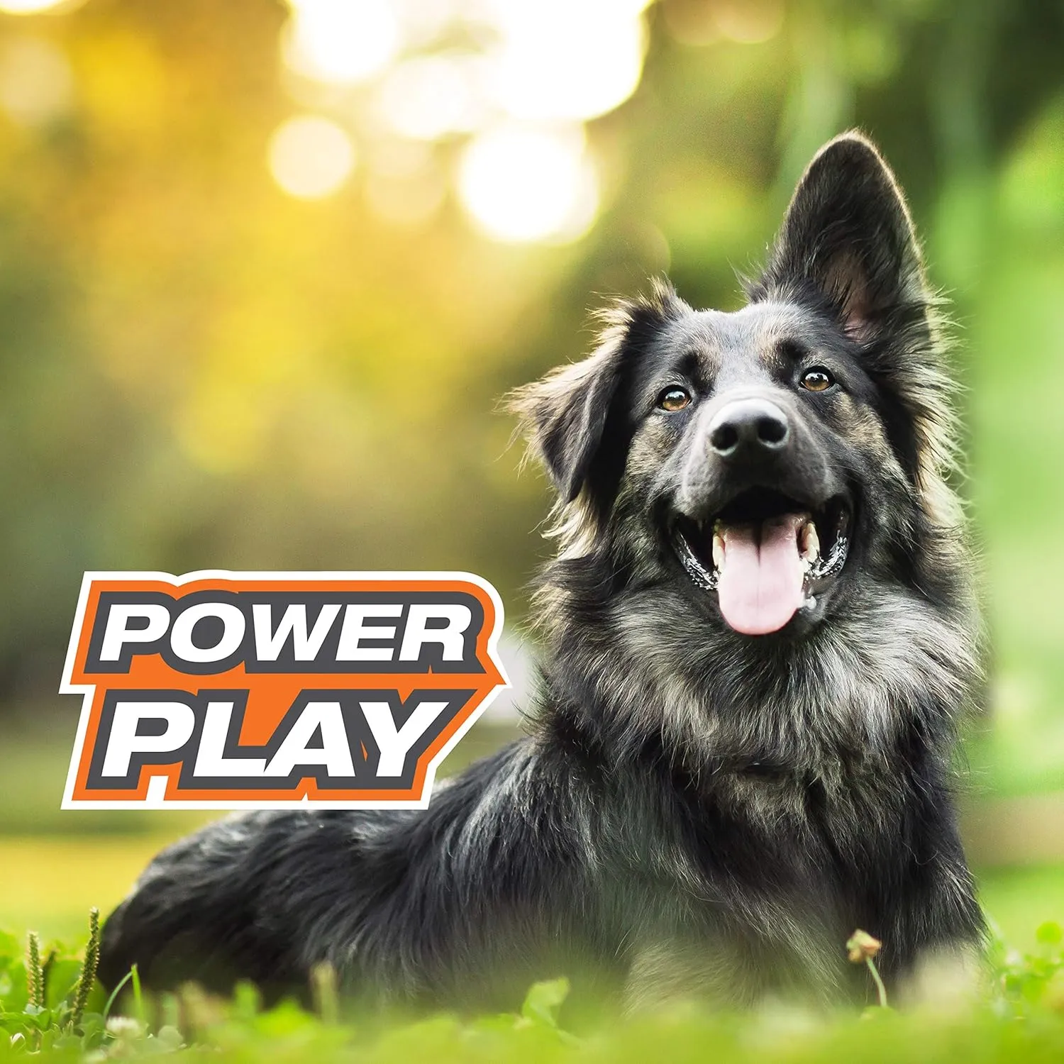 Nylabone Power Play Shake-a-Toss Interactive Play Toy, Fetch Toy for Dogs, Large (1 Count)