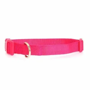 Nylon Dog Collar by Zack & Zoey - Raspberry Sorbet