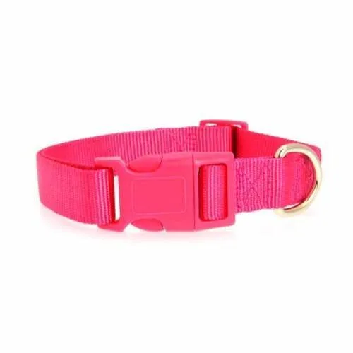 Nylon Dog Collar by Zack & Zoey - Raspberry Sorbet