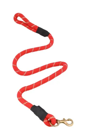 Nylon Rope Leash With Buckle Closure For Dogs (XL-large)