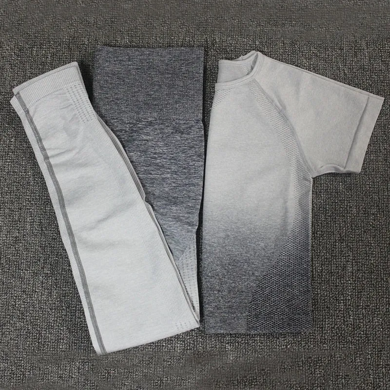 Ombre Energy Seamless Women Sport Suit
