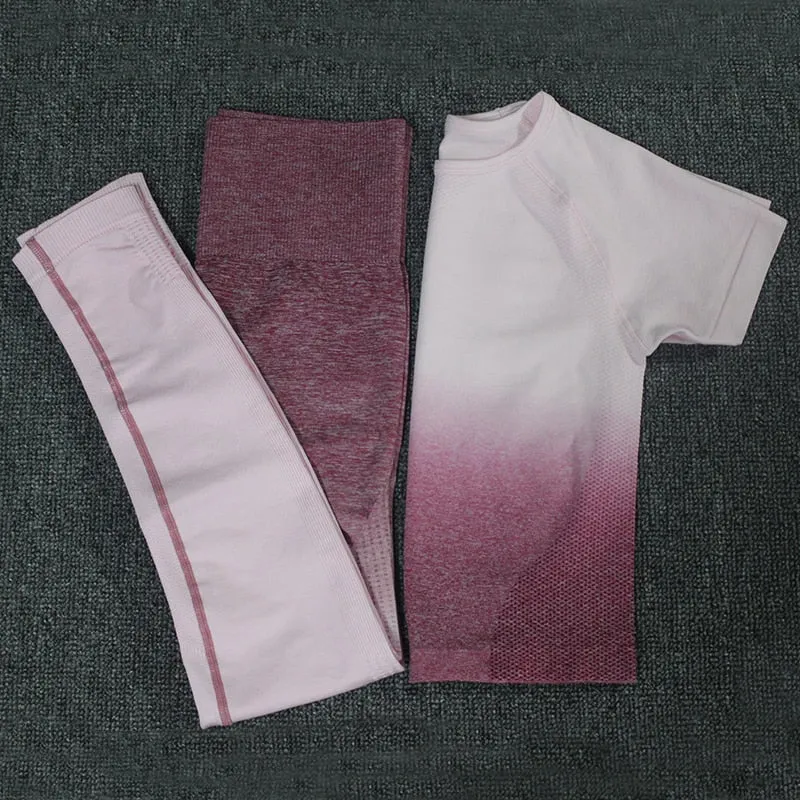 Ombre Energy Seamless Women Sport Suit