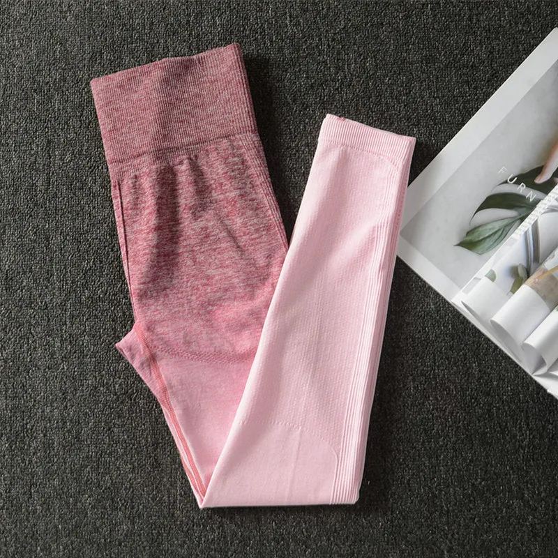 Ombre Energy Seamless Women Sport Suit