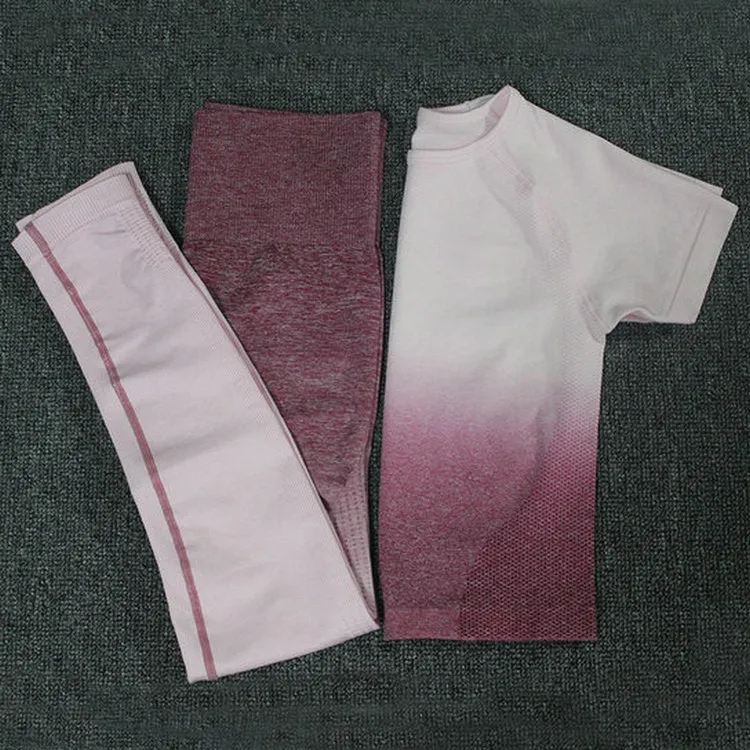 Ombre Energy Seamless Women Sport Suit