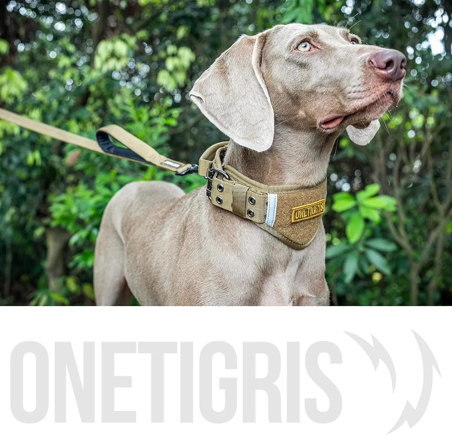 OneTigris Handled No-Pull Dog Walking Leash Long Traffic Leads for Medium to Large Dogs (Brown, 4FT)