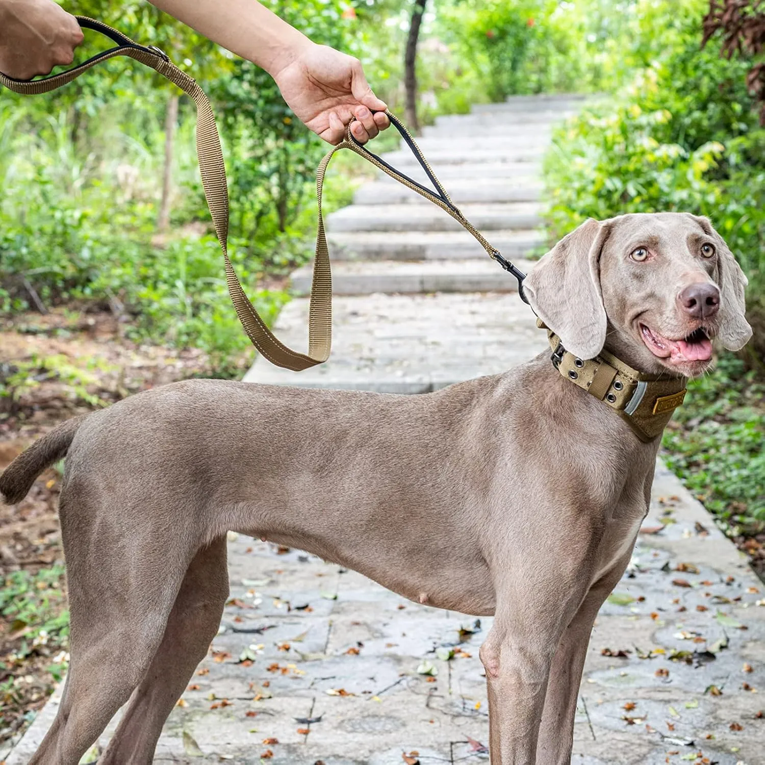 OneTigris Handled No-Pull Dog Walking Leash Long Traffic Leads for Medium to Large Dogs (Brown, 4FT)