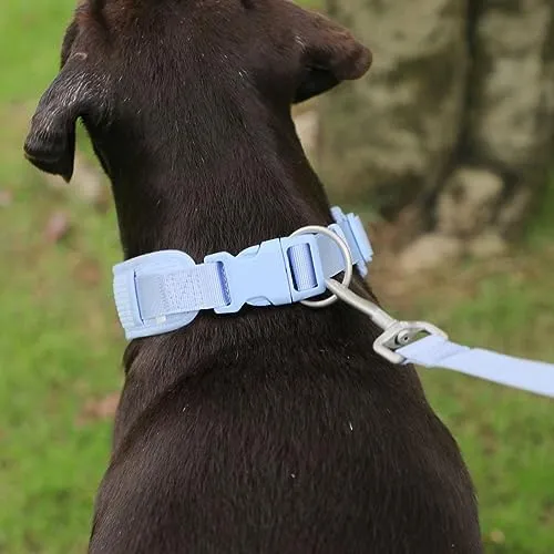 PETDURO Soft Padded Nylon Velvet Personalized Dog Collars with Name and Number Engraved Quick Release Plastic Buckle - Matching Leash, Poop Bag Holder, Harness & Walking Bag Available
