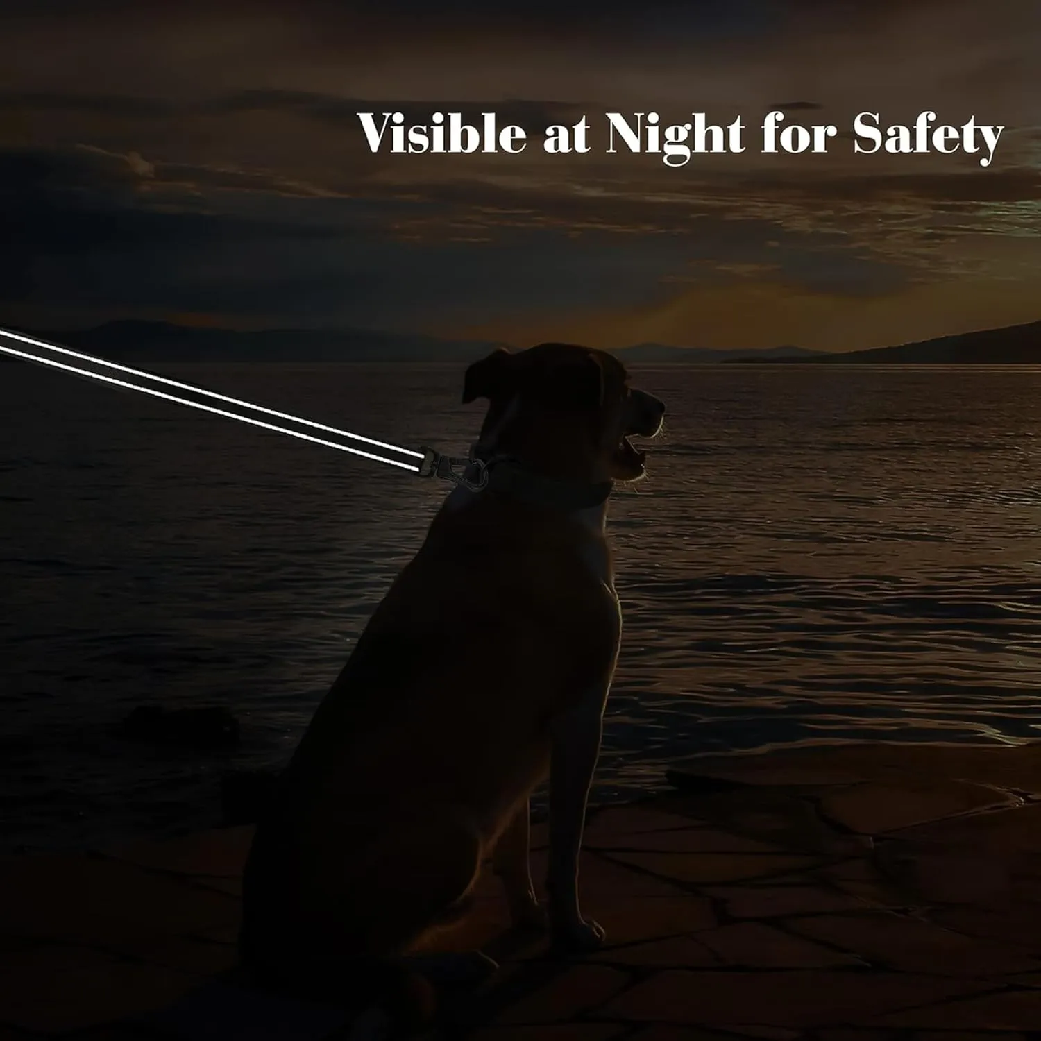 PetiFine 4FT Heavy Duty Dog Leash with Soft Padded Double Handle, Durable Strong Clasp Dog Leashes, Reflective Nylon Walking Lead for Large,Medium,Small Breed Dogs, Black
