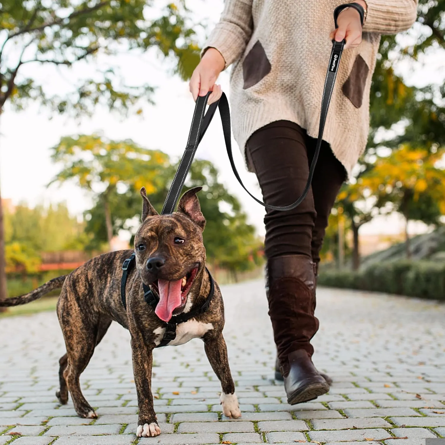 PetiFine 4FT Heavy Duty Dog Leash with Soft Padded Double Handle, Durable Strong Clasp Dog Leashes, Reflective Nylon Walking Lead for Large,Medium,Small Breed Dogs, Black