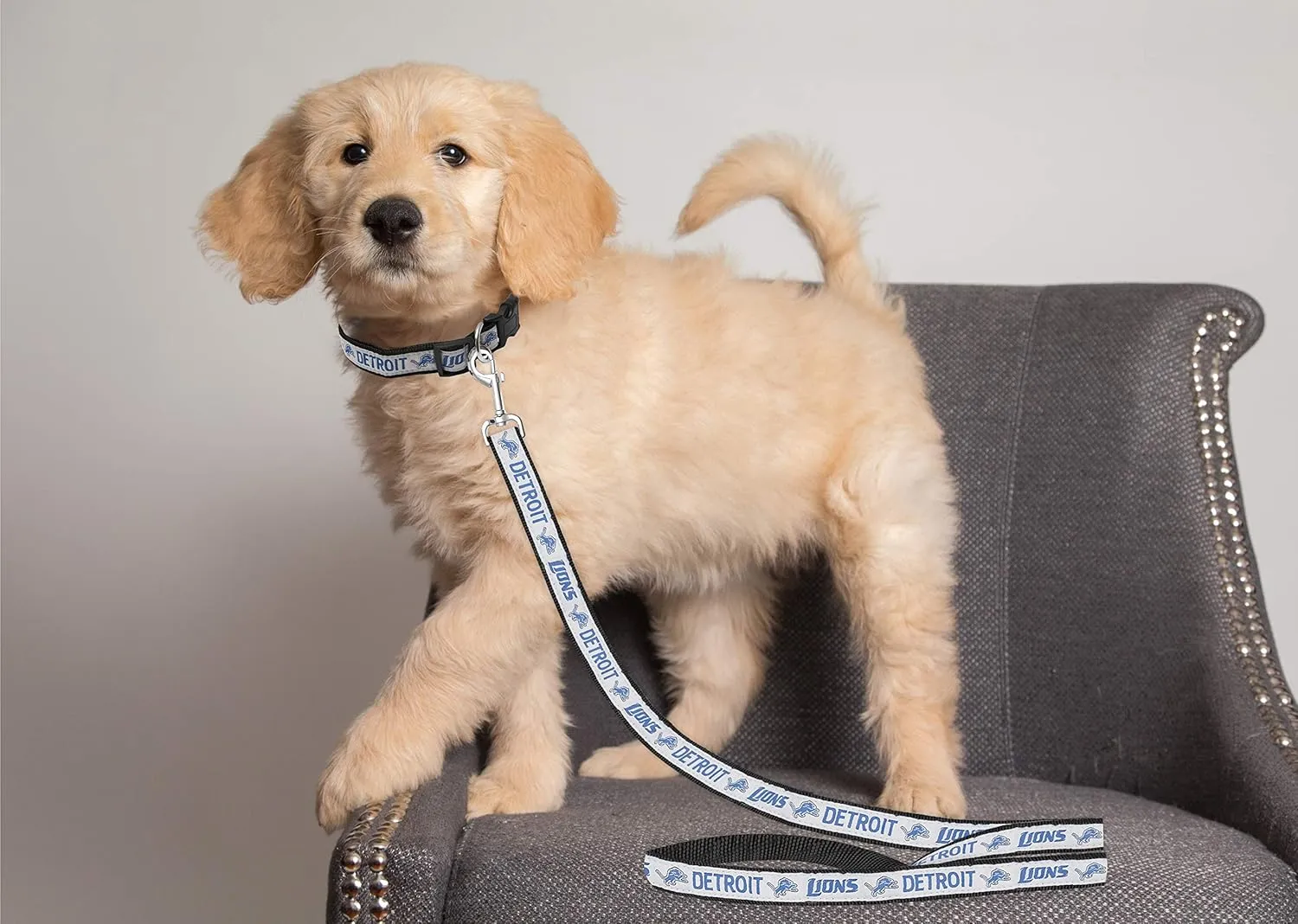 Pets First Detroit Lions Pet Leash, Large