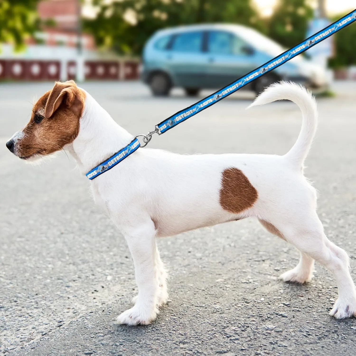 Pets First Detroit Lions Pet Leash, Large