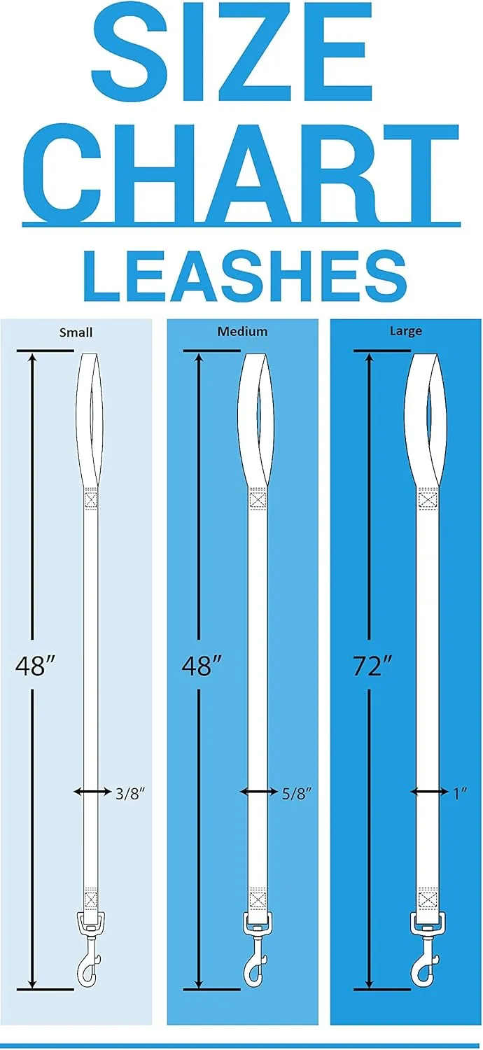 Pets First Detroit Lions Pet Leash, Large