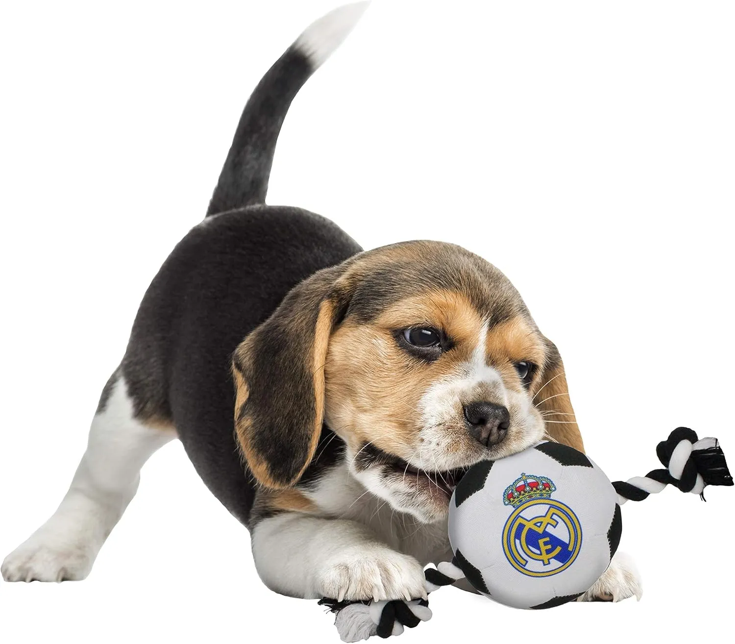 Pets First MLS Real Madrid DOG TOY SOCCER FOOTBALL with Ropes & built-in Squeaker, Tough DOG & CAT TOY in Club color