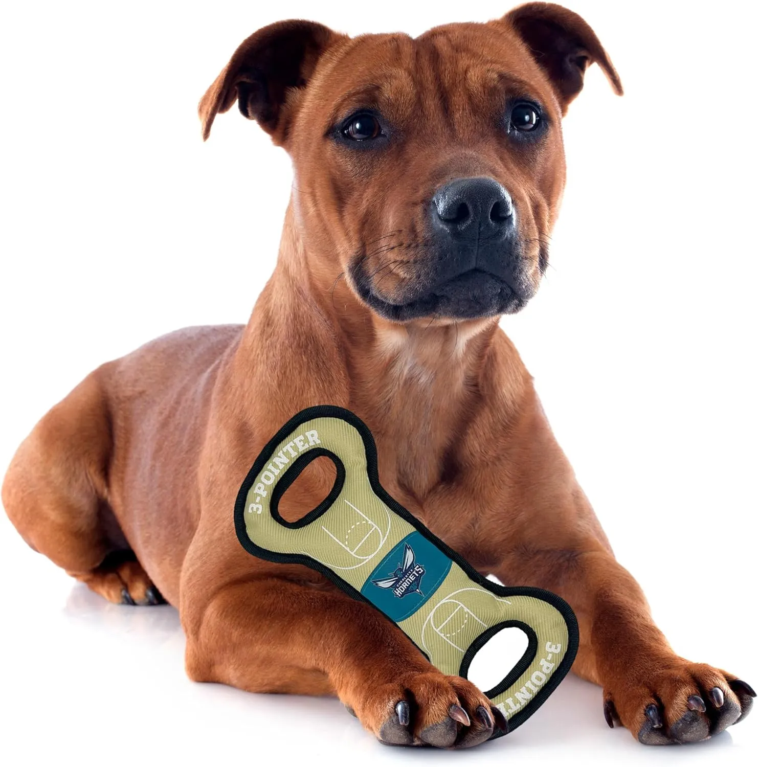 Pets First NBA Charlotte Hornets Field Toy. - Tough Nylon Pet Toy with Double Trim Stitching & Inner Squeaker, One Size