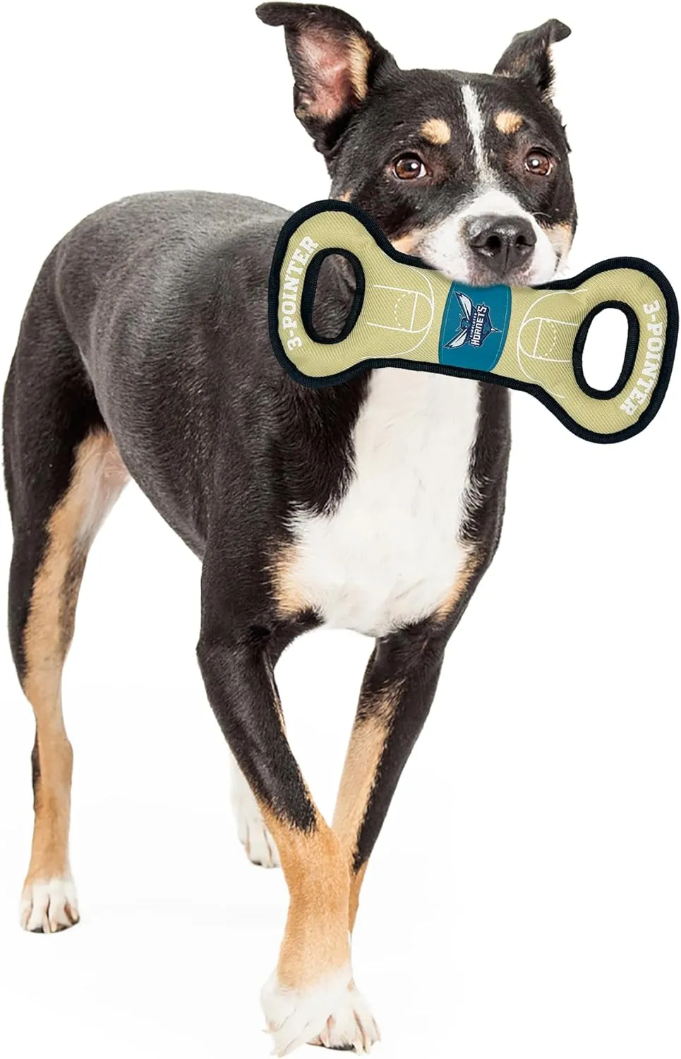 Pets First NBA Charlotte Hornets Field Toy. - Tough Nylon Pet Toy with Double Trim Stitching & Inner Squeaker, One Size