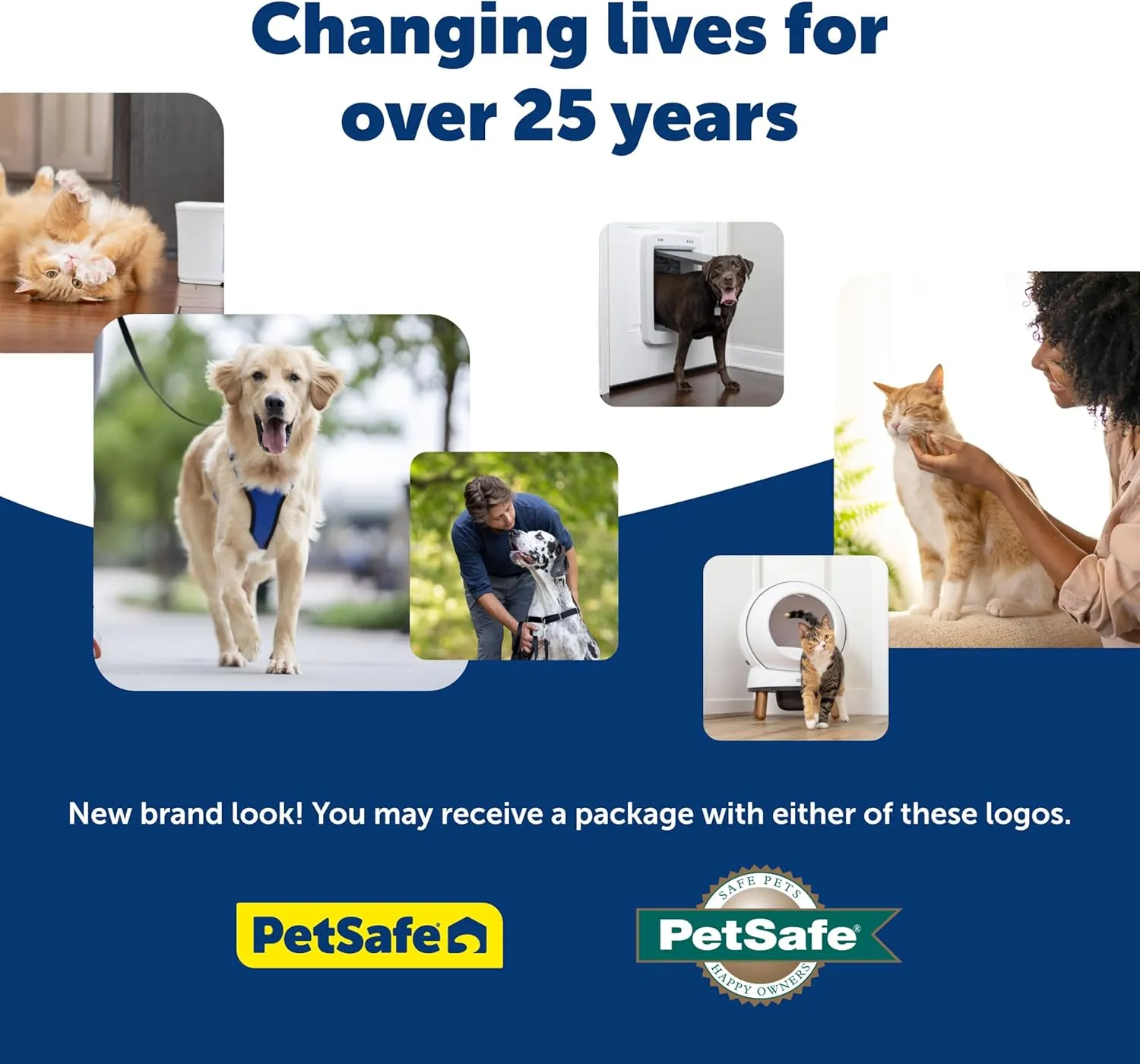 PetSafe 3 in 1 Harness with Two Point Control Leash, No-Pull Harness, Medium, Black, Adjustable