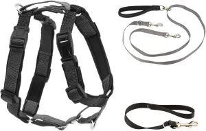 PetSafe 3 in 1 Harness with Two Point Control Leash, No-Pull Harness, Medium, Black, Adjustable