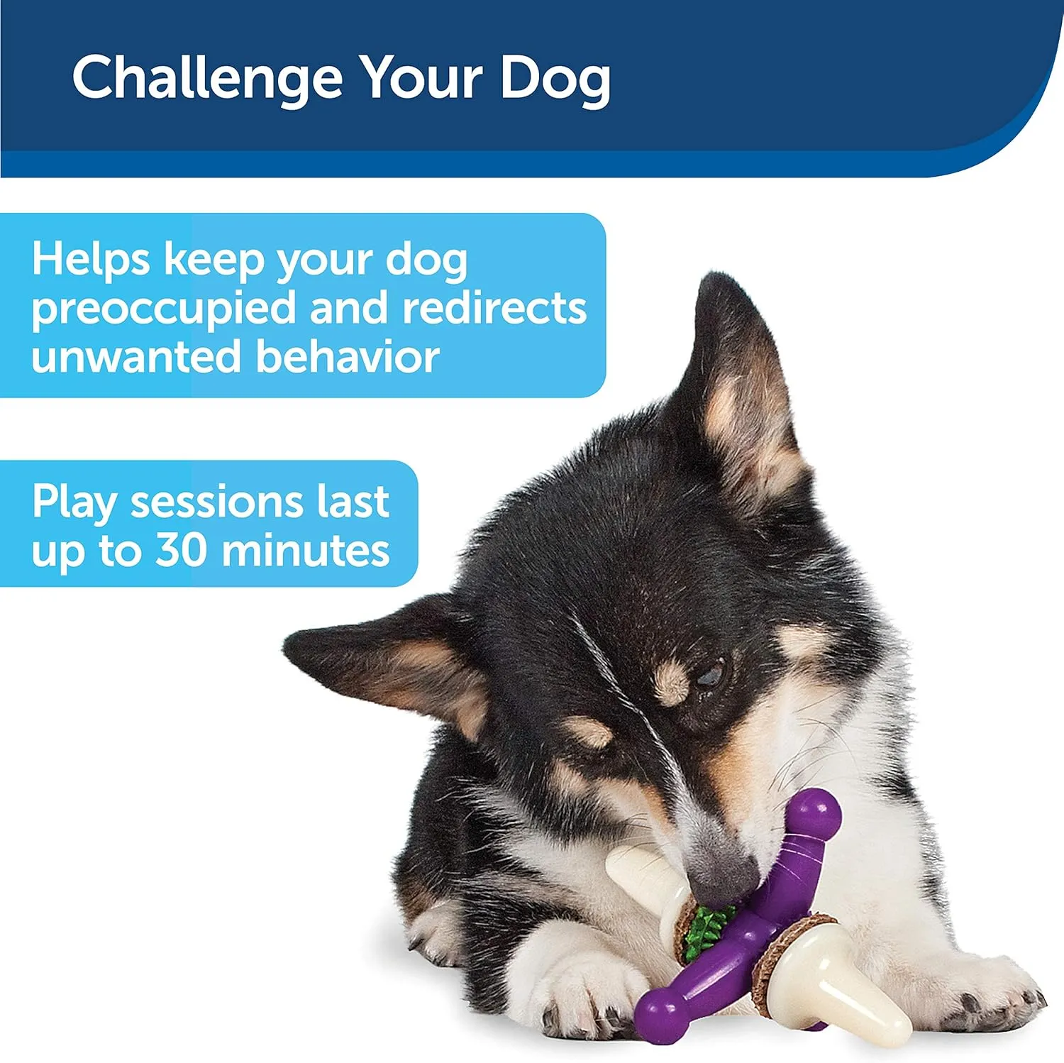 PetSafe Busy Buddy Jack - Treat Holding Dog Chew Toys - Helps Clean Teeth - Vanilla Scented Rubber for Strong Chewers - Treat Refills Included, Interactive Dog Toy Helps Keep Dogs Busy, Purple, Medium