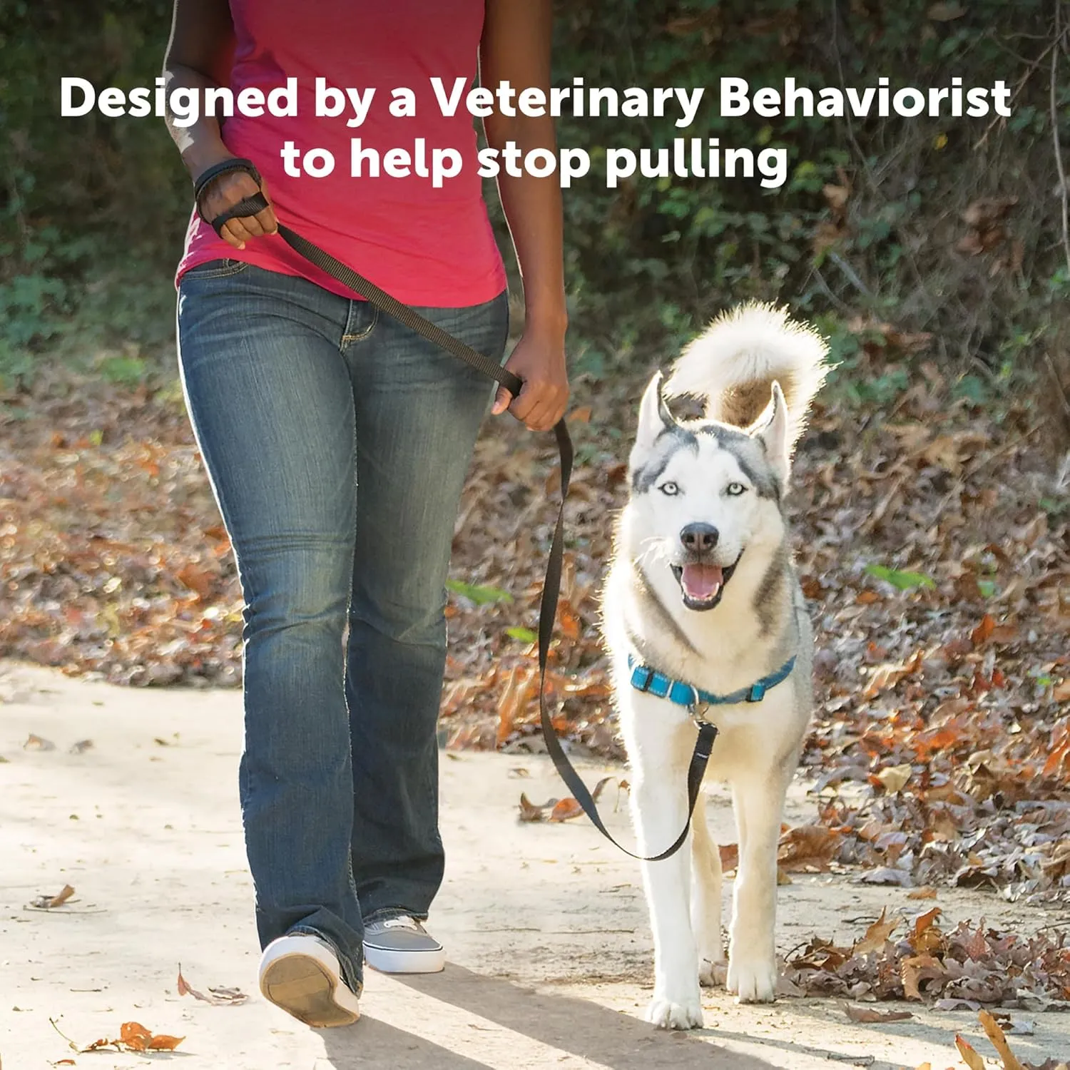 PetSafe Easy Walk Deluxe Dog Harness, No Pull Dog Harness – Perfect for Leash & Harness Training – Stops Pets from Pulling and Choking on Walks – Medium, Ocean