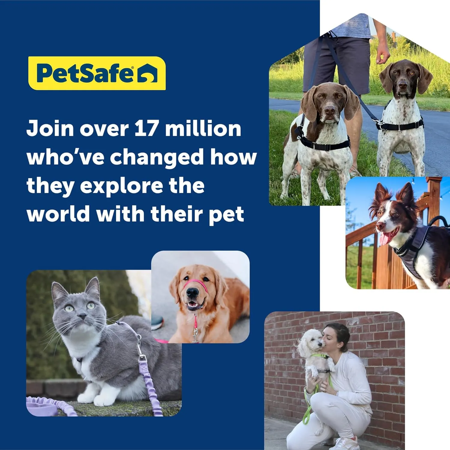 PetSafe Easy Walk Deluxe Dog Harness, No Pull Dog Harness – Perfect for Leash & Harness Training – Stops Pets from Pulling and Choking on Walks – Medium, Ocean