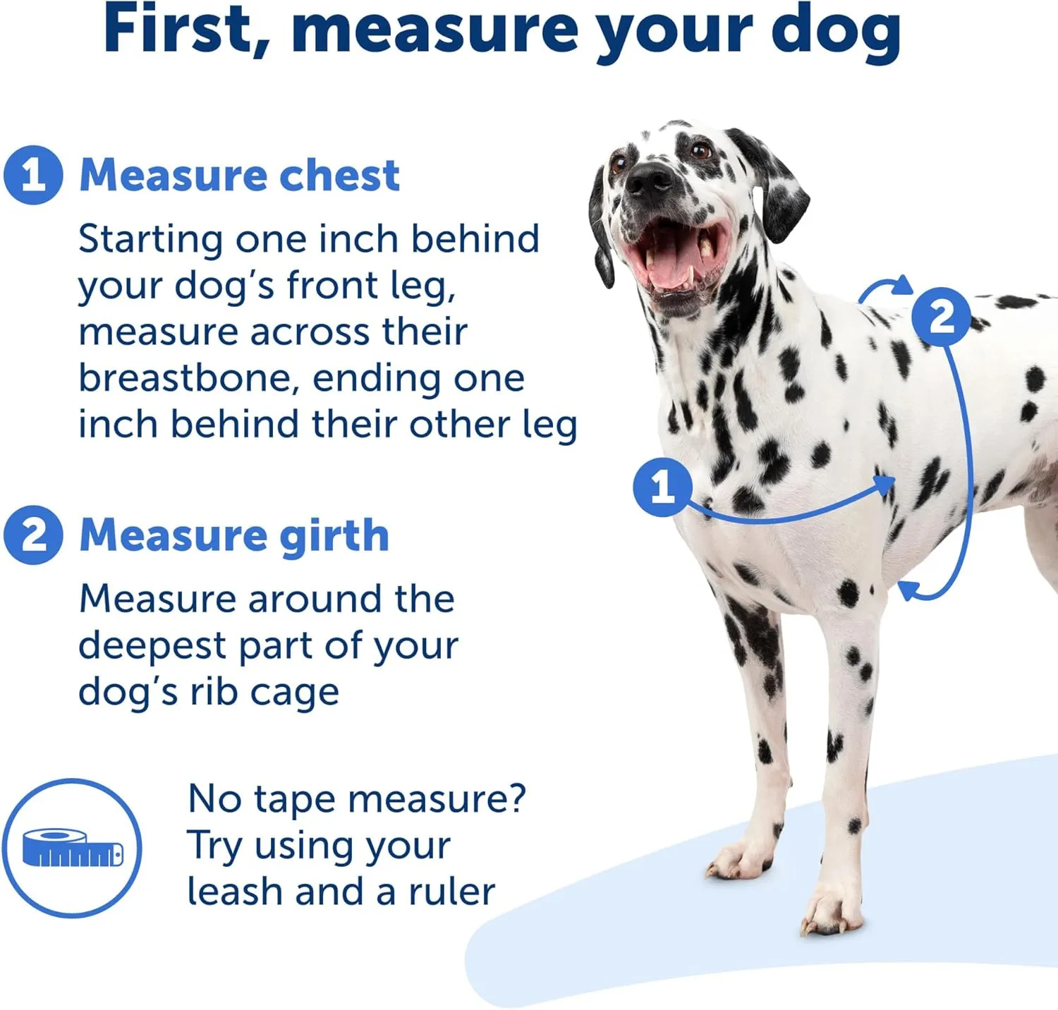 PetSafe Easy Walk Deluxe Dog Harness, No Pull Dog Harness – Perfect for Leash & Harness Training – Stops Pets from Pulling and Choking on Walks – Medium, Ocean