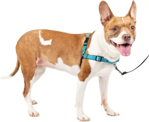 PetSafe Easy Walk Deluxe Dog Harness, No Pull Dog Harness – Perfect for Leash & Harness Training – Stops Pets from Pulling and Choking on Walks – Medium, Ocean
