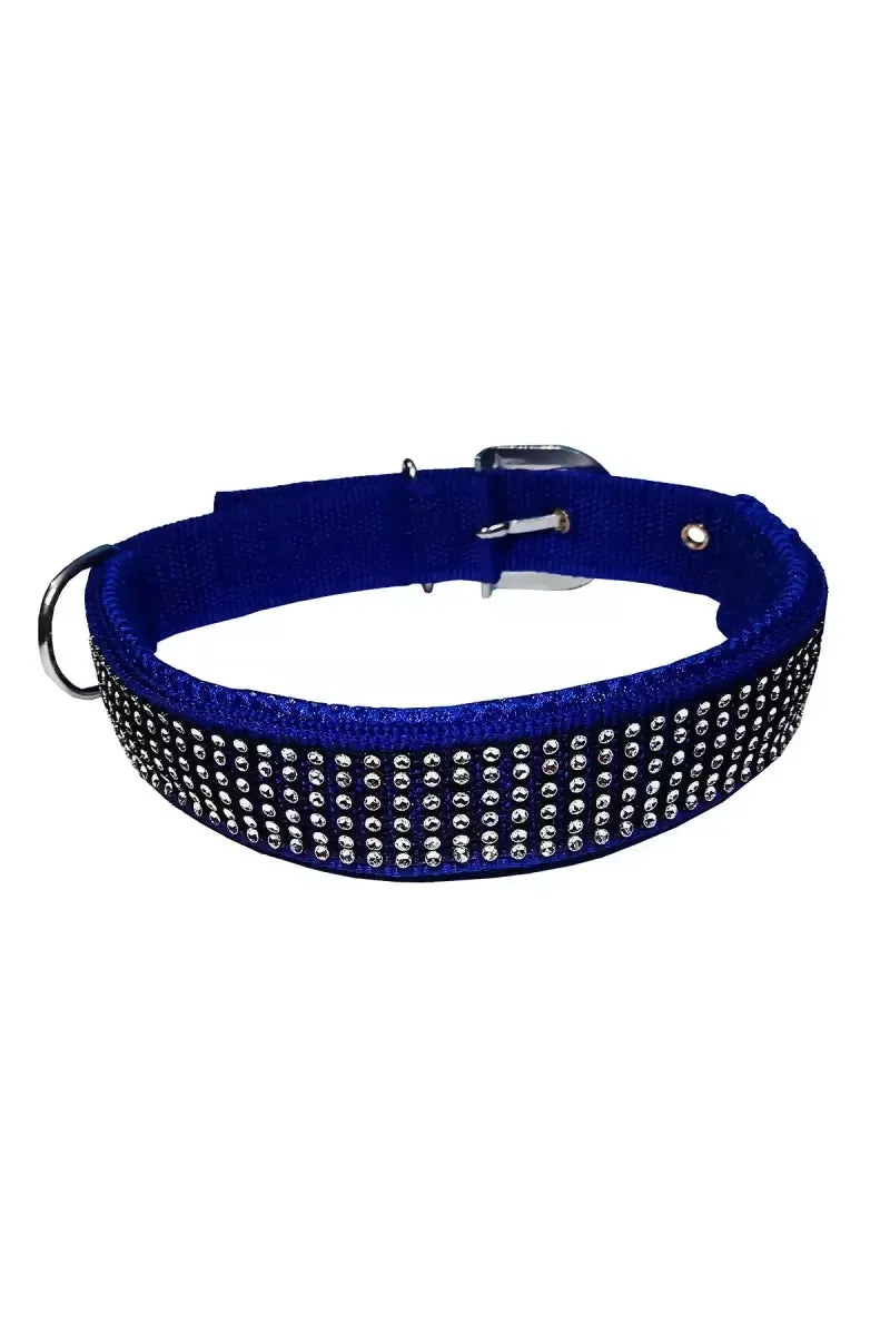 Petshop7 Nylon Messh Dog Collar & Leash (Large, Blue)