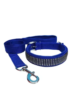Petshop7 Nylon Messh Dog Collar & Leash (Large, Blue)