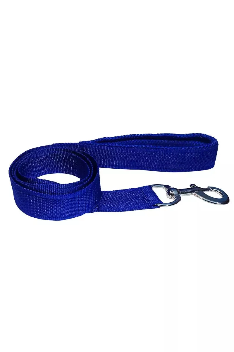 Petshop7 Nylon Messh Dog Collar & Leash (Large, Blue)