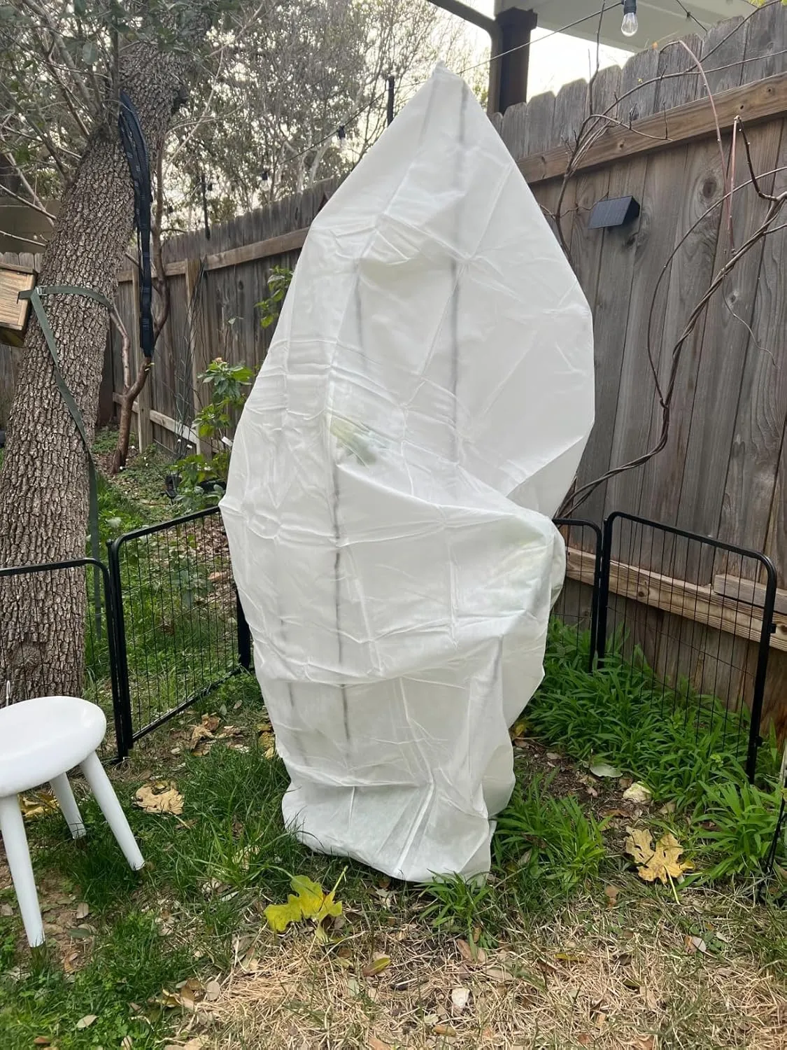 Plant Covers Freeze Protection, 2 Pack 47.7" X 71.7" Frost Protection Bags with Zipper and Drawstring for Shrubs, Trees, and Potted Plants – Winter Plant Cover for Cold Weather, Snow, and Wind. White