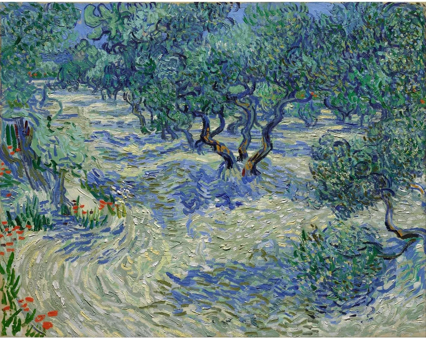 Poster Print Rolled - Van Gogh - Olive Orchard - 30x40 Inch Wall Decor Poster Art Print