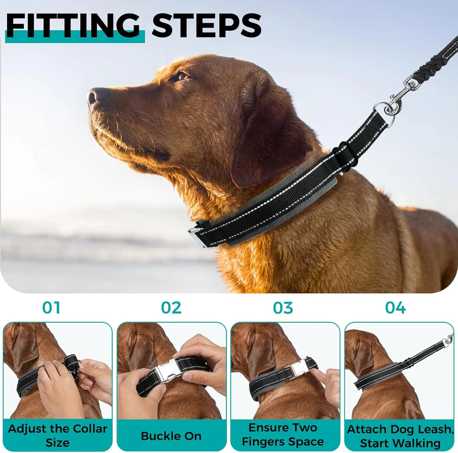 Prong Collar for Large Dogs – Heavy Duty Martingale No Pull Dog Collar with Stainless Spikes & Reflective Strips, Pitbull/Doberman Training Control for Parks, Streets