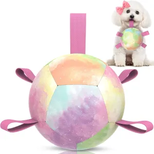 QDAN Dog Toys Soccer Ball with Straps, Durable Dog Balls for Tug of War, Puppy Birthday Gifts, Dogs Water Toy Small Dogs-Rainbow（5 Inch）