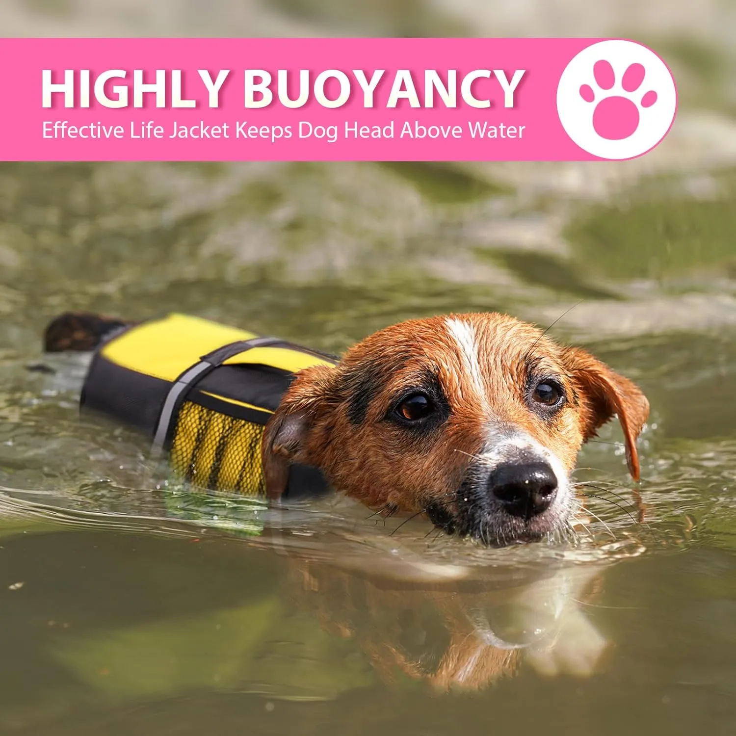 Queenmore Dog Life Jacket Lifesaver Preserver High Buoyancy with Emergency Grab Handle for Small & Medium Dogs BrightBrightYellow, X-Small