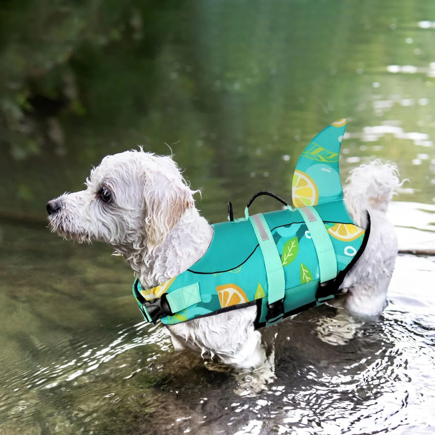 Queenmore Dog Life Jacket with Rescue Handle - Adjustable Reflective Dog Vest for Swimming, Medium Dog, Green Print M