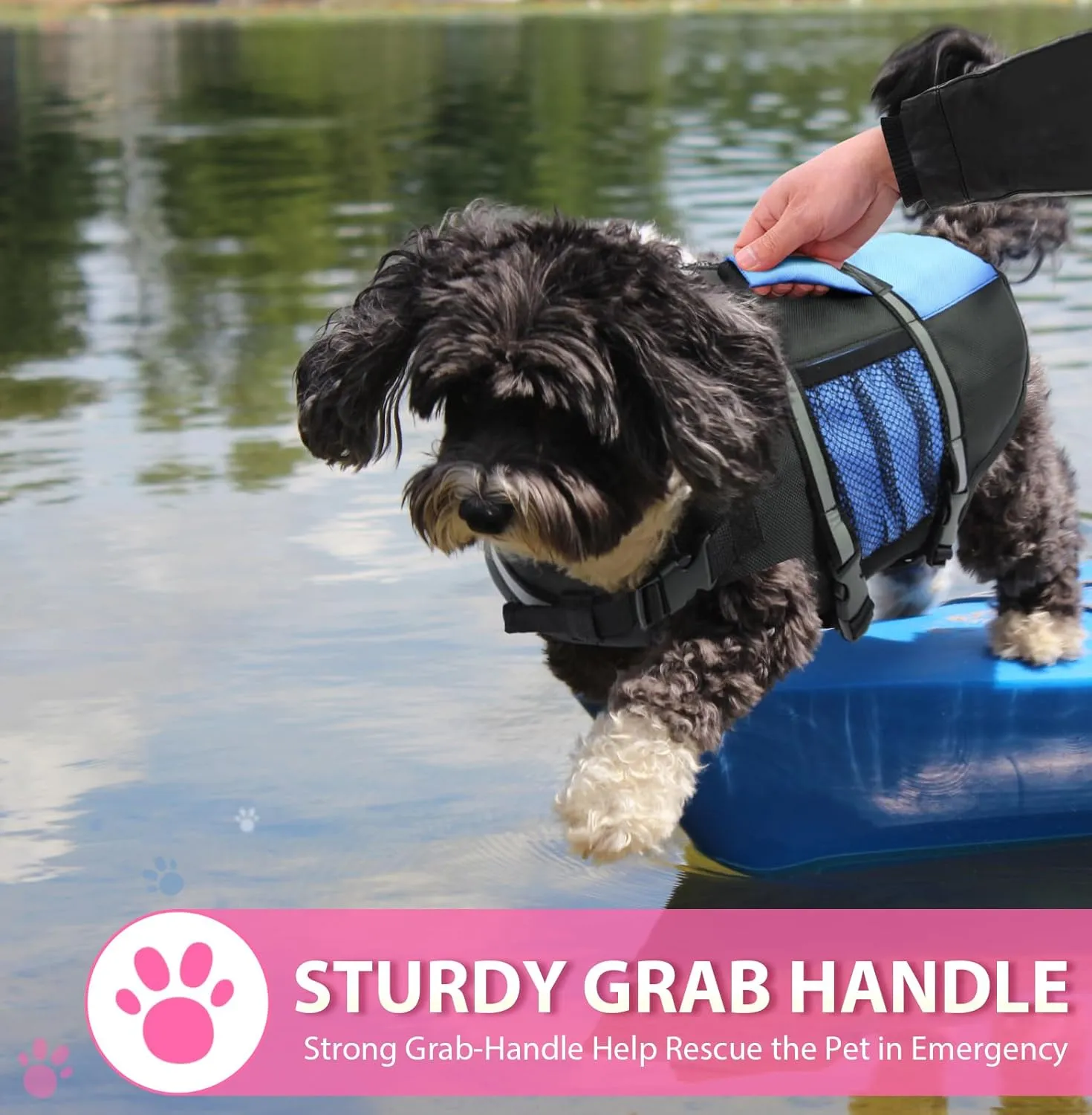 Queenmore Small Dog Life Jacket, Adjustable Pet Life Vest for Small and Medium Dogs with High Buoyancy, Rescue Handle, Reflective Bands for Boating, Canoeing, Swimming