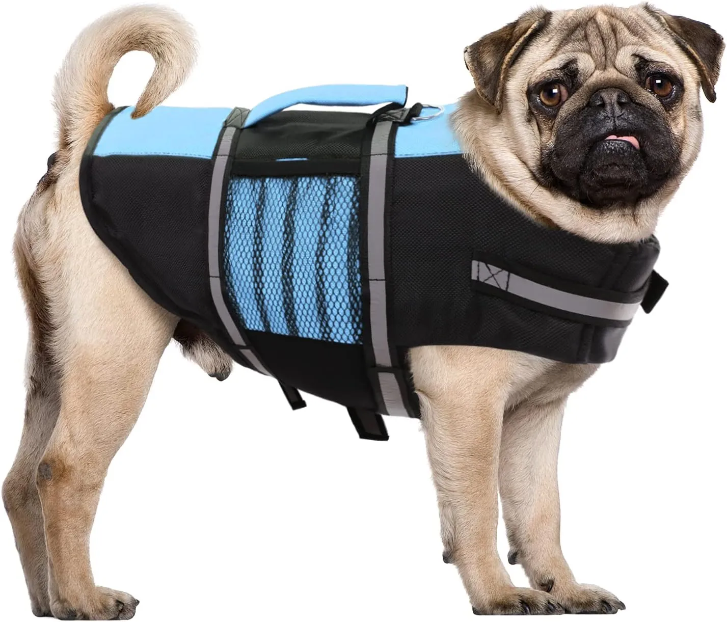 Queenmore Small Dog Life Jacket, Adjustable Pet Life Vest for Small and Medium Dogs with High Buoyancy, Rescue Handle, Reflective Bands for Boating, Canoeing, Swimming
