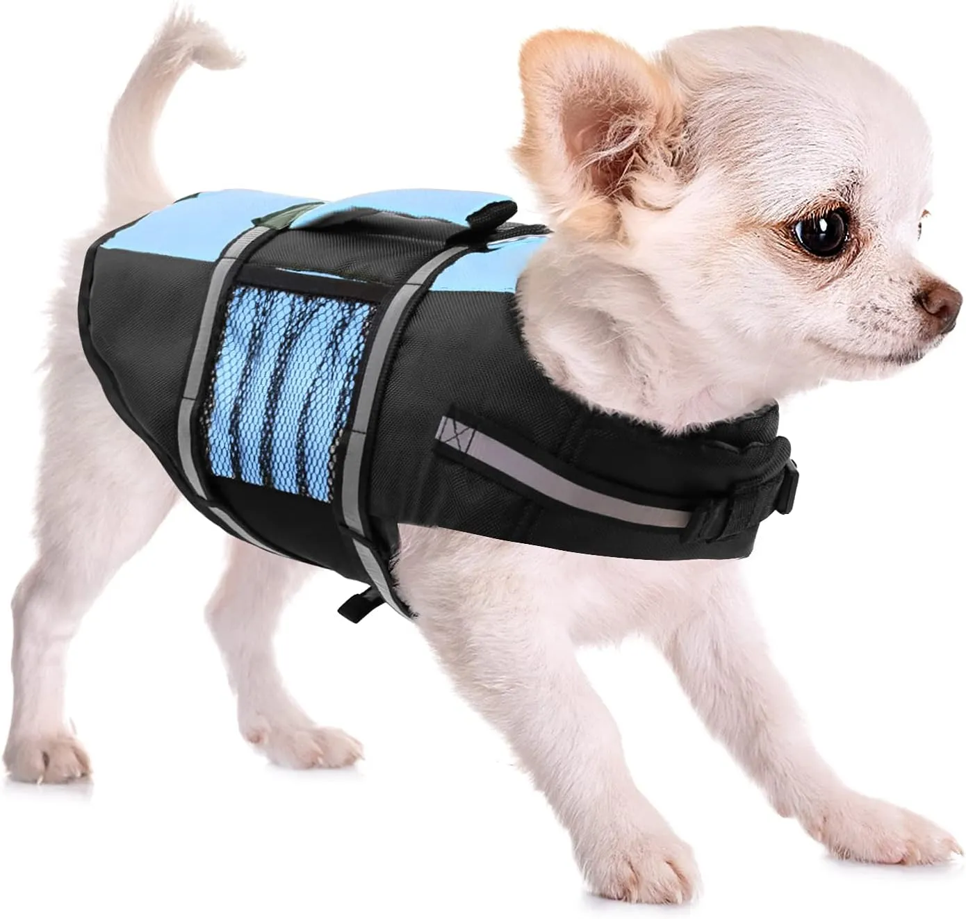 Queenmore Small Dog Life Jacket, Adjustable Pet Life Vest for Small and Medium Dogs with High Buoyancy, Rescue Handle, Reflective Bands for Boating, Canoeing, Swimming