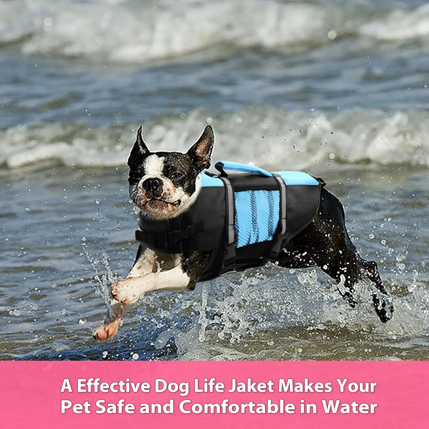 Queenmore Small Dog Life Jacket, Adjustable Pet Life Vest for Small and Medium Dogs with High Buoyancy, Rescue Handle, Reflective Bands for Boating, Canoeing, Swimming