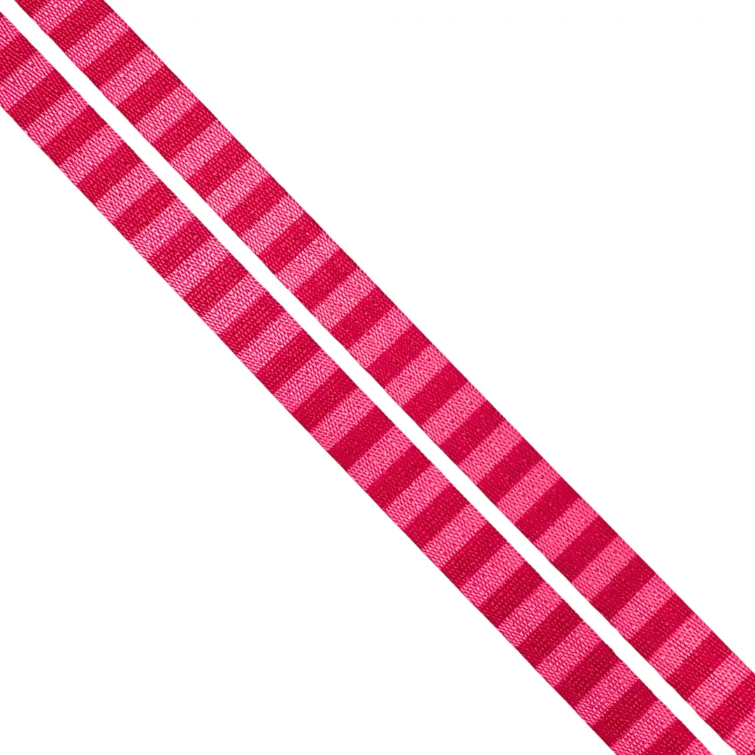 Raspberry & Pink Stripes 1/2" Printed Seatbelt Webbing