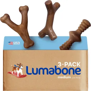 Real Bacon Medium 3-Pack Durable Dog Chew Toys for Aggressive Chewers, Made in USA – Wishbone, Zaggler, Stick