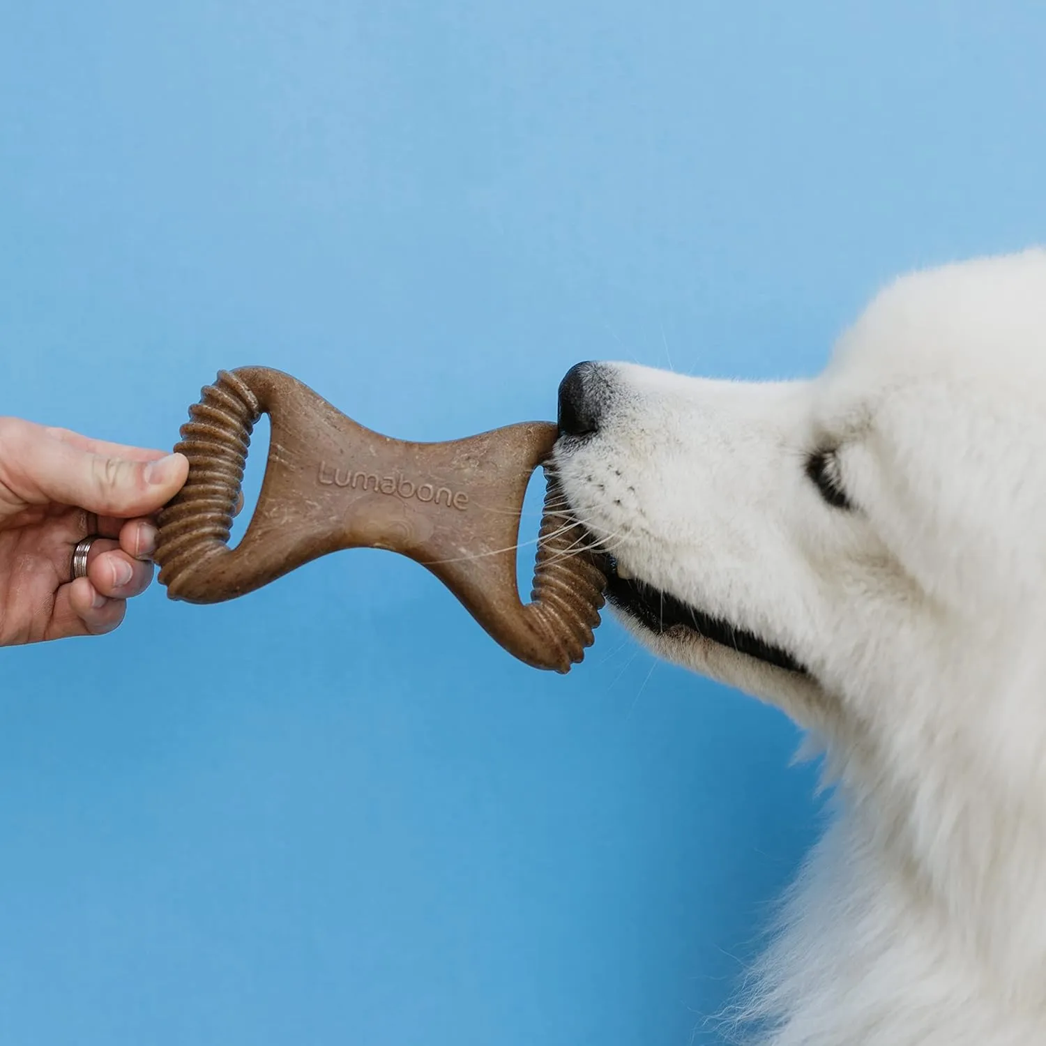 Real Bacon Medium 4-Pack Durable Dog Chew Toys for Aggressive Chewers, Made in USA – Wishbone, Ring Stuffer, Dental Chew, Stick