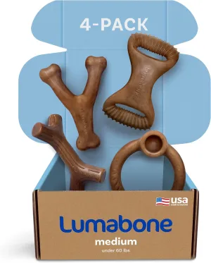 Real Bacon Medium 4-Pack Durable Dog Chew Toys for Aggressive Chewers, Made in USA – Wishbone, Ring Stuffer, Dental Chew, Stick