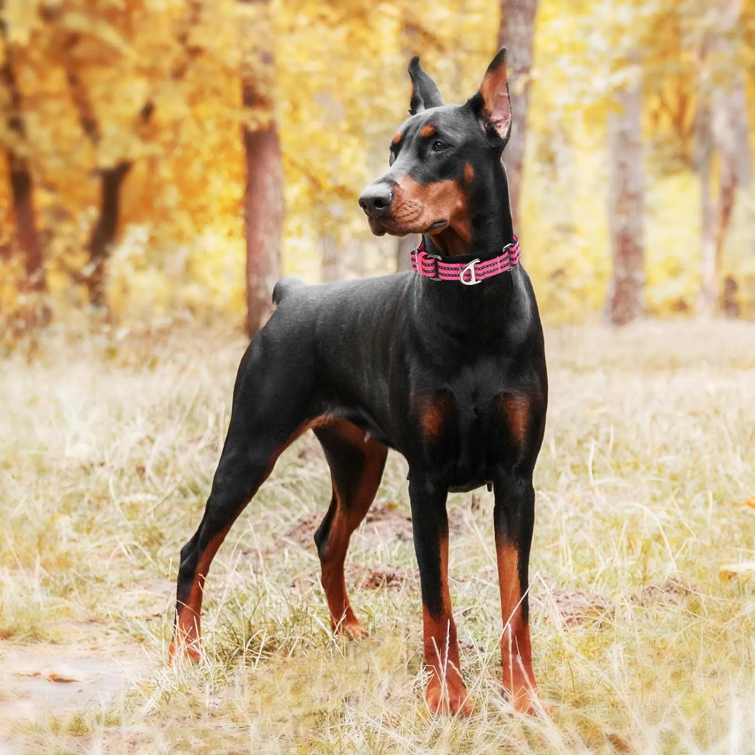 Reflective Martingale Collar for Large Dogs with No Buckle,No Pull Choke Collar with Padded Comfort for Training, Walking & Overexcited Pulling Control Dogs,Pink L