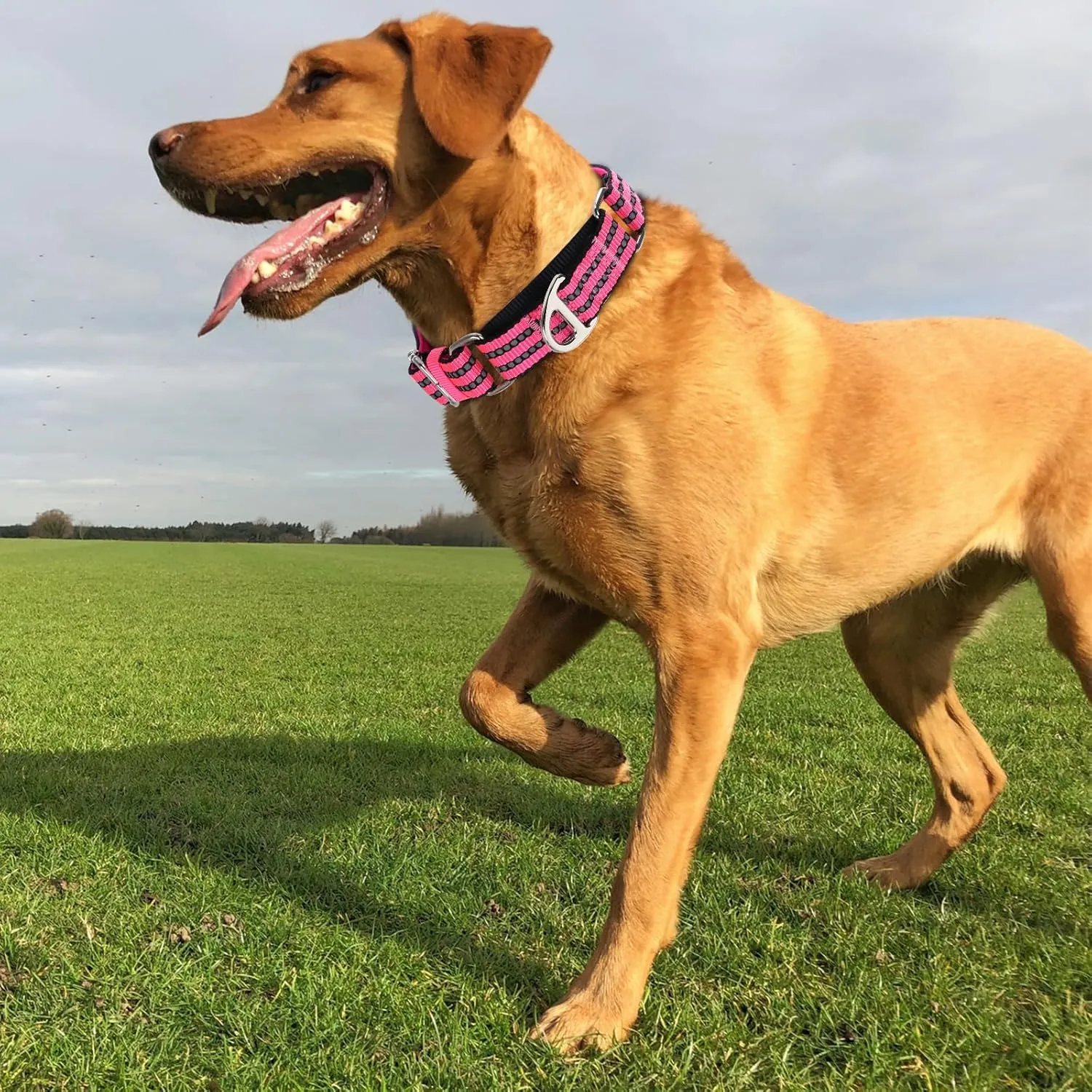 Reflective Martingale Collar for Large Dogs with No Buckle,No Pull Choke Collar with Padded Comfort for Training, Walking & Overexcited Pulling Control Dogs,Pink L